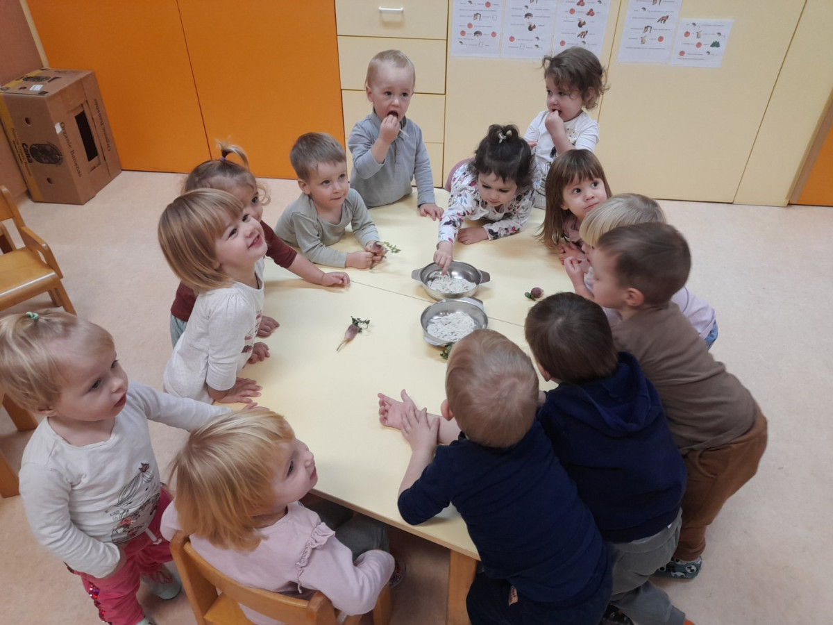 Čuteči november in veseli december pri piščančkih