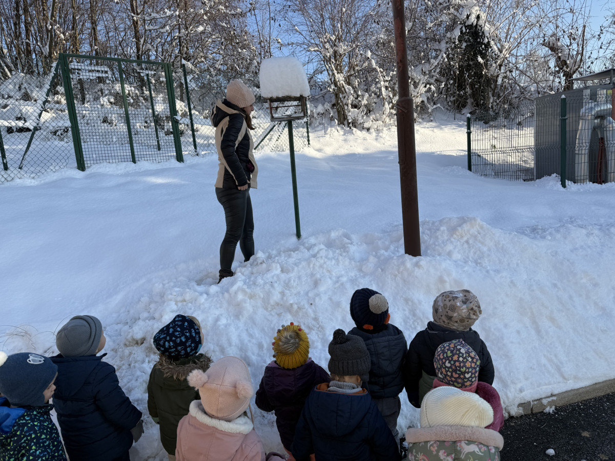 Januar v skupini Žogice