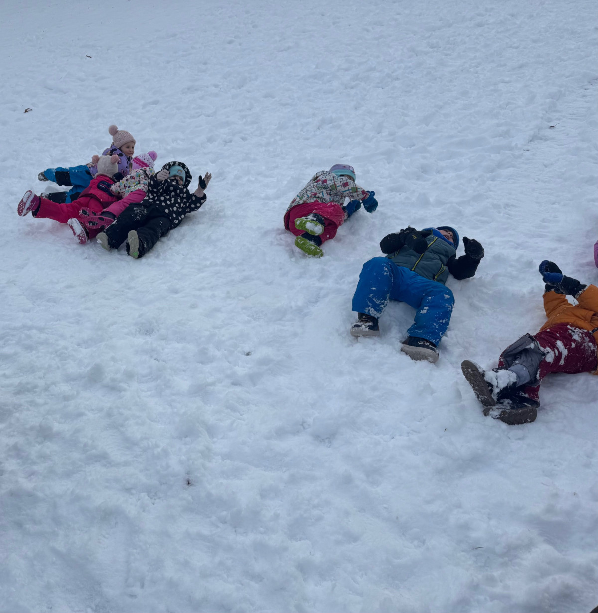 Zabava na snegu - Veverice