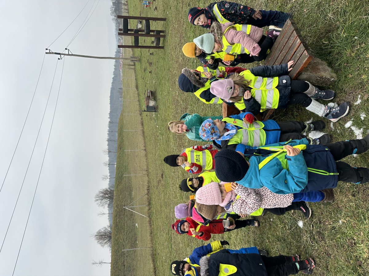 Sovice na zimskem pohodu