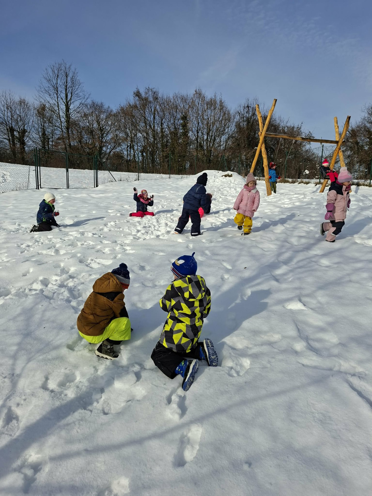 SKUPINA PIKAPOLONE V MESECU JANUARJU