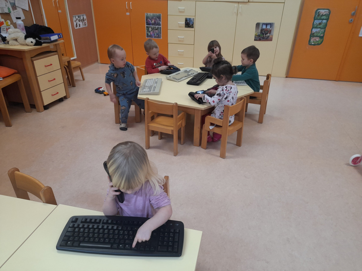 Februarja pri piščančkih