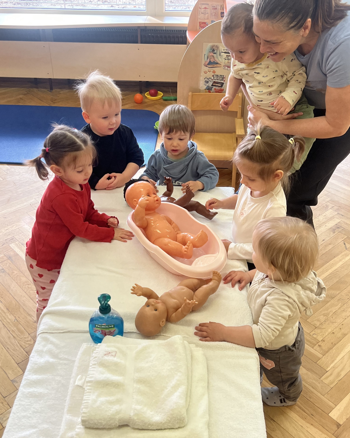 DOM IN DRUŽINA - skupina Pikapolonice