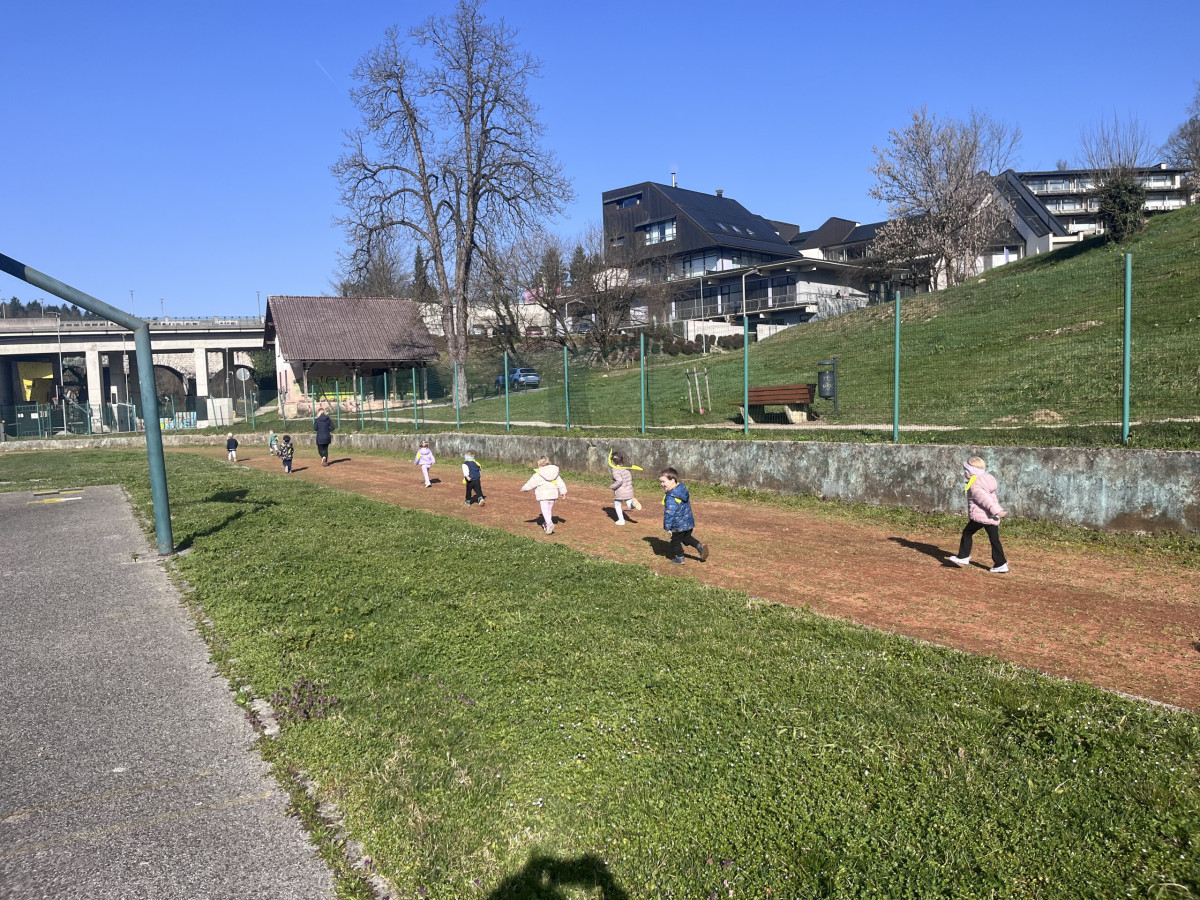 Spoznavamo družine- skupina Račke