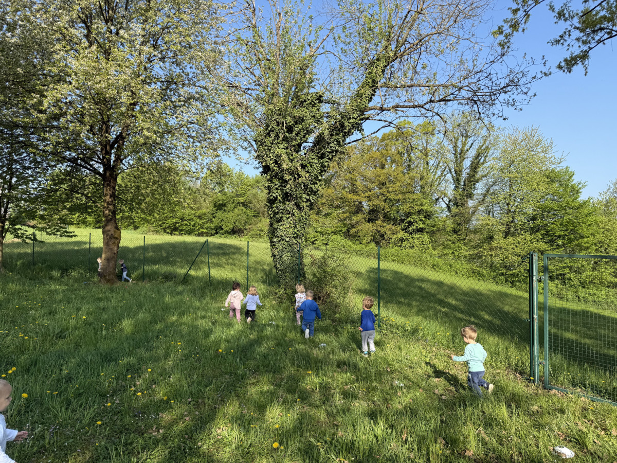 Tek med krošnjami dreves