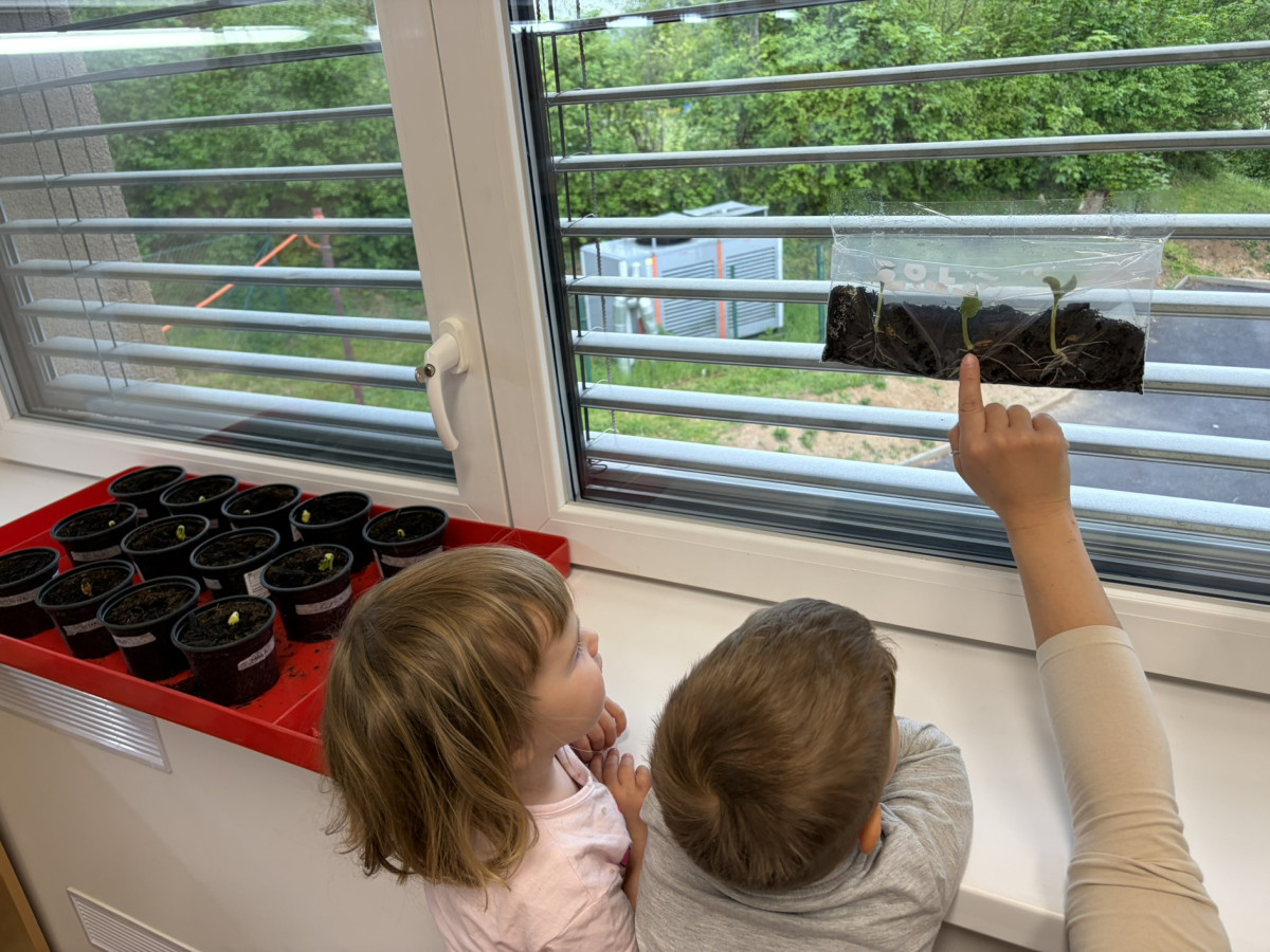 Pomlad v skupini Ribice