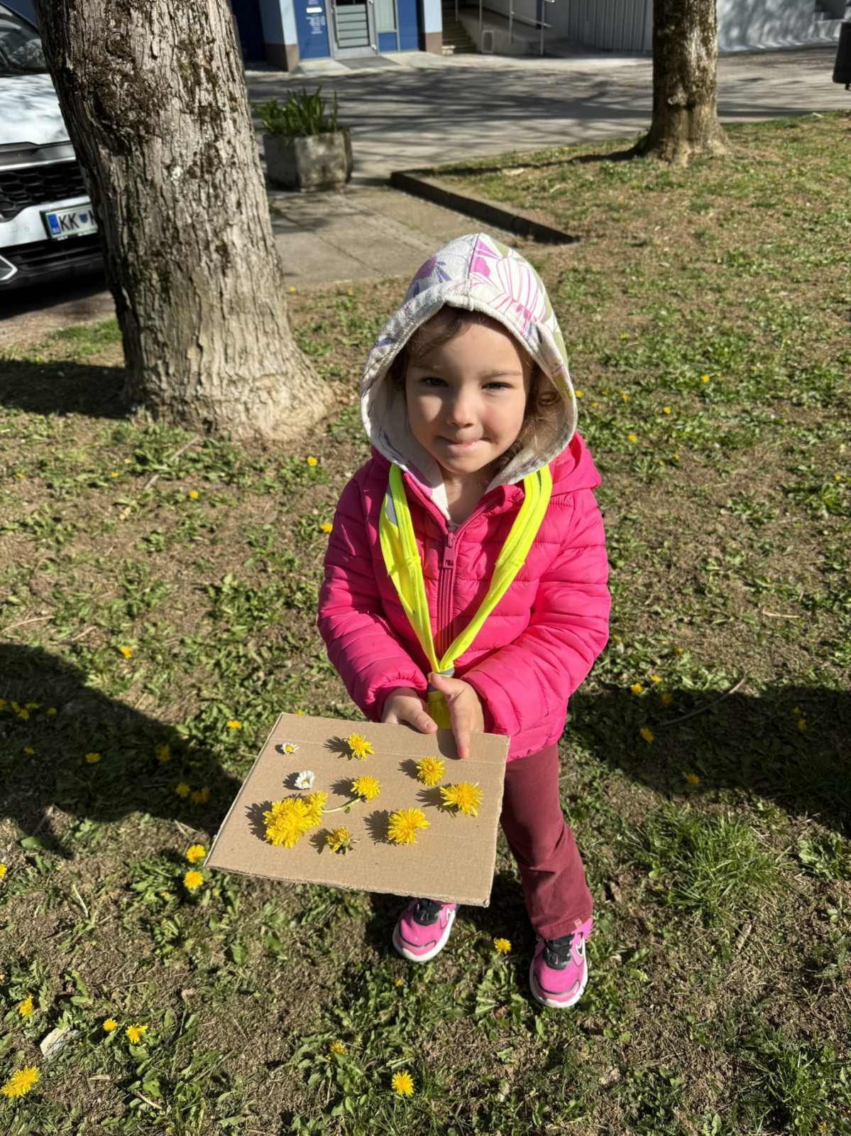 V deželo je prišla pomlad - Miške