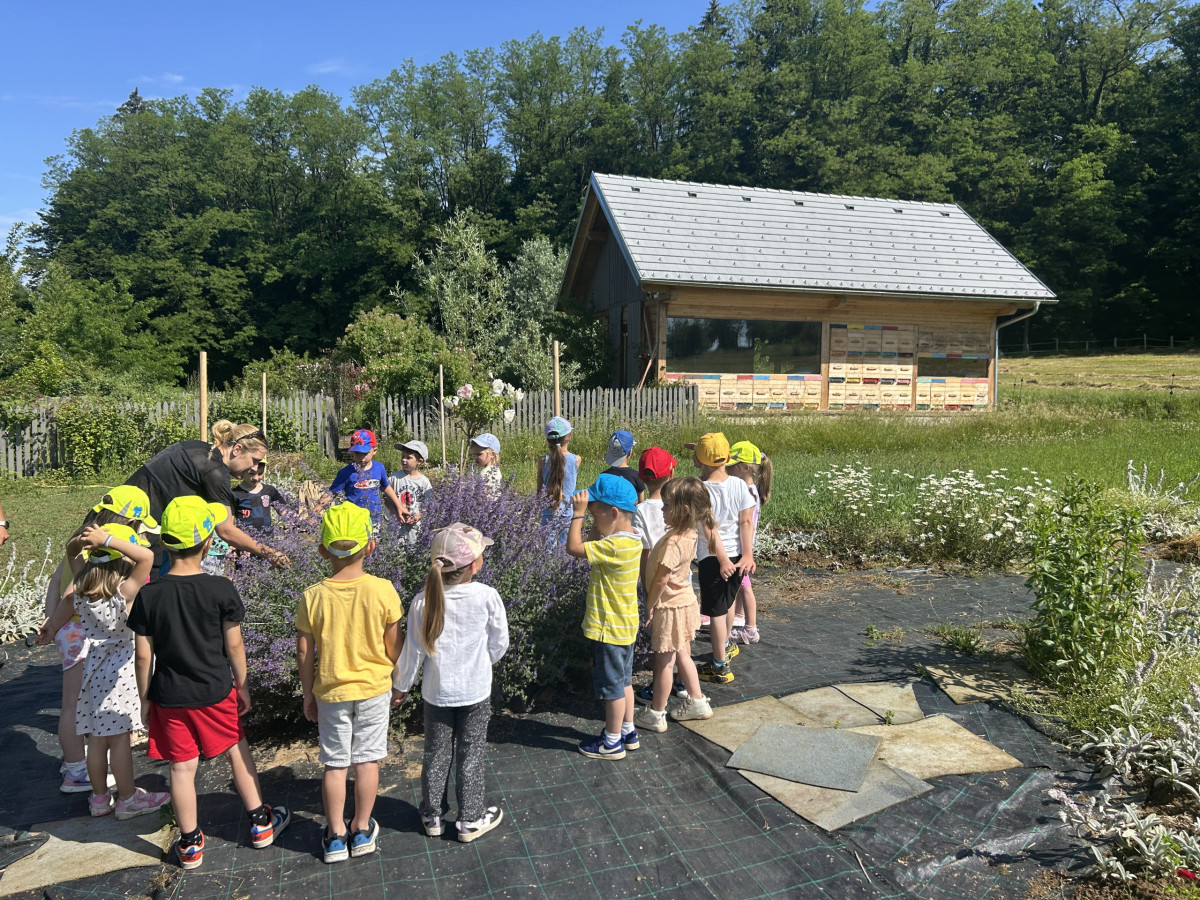 Druženje skupine Zajci in Pikapolonice