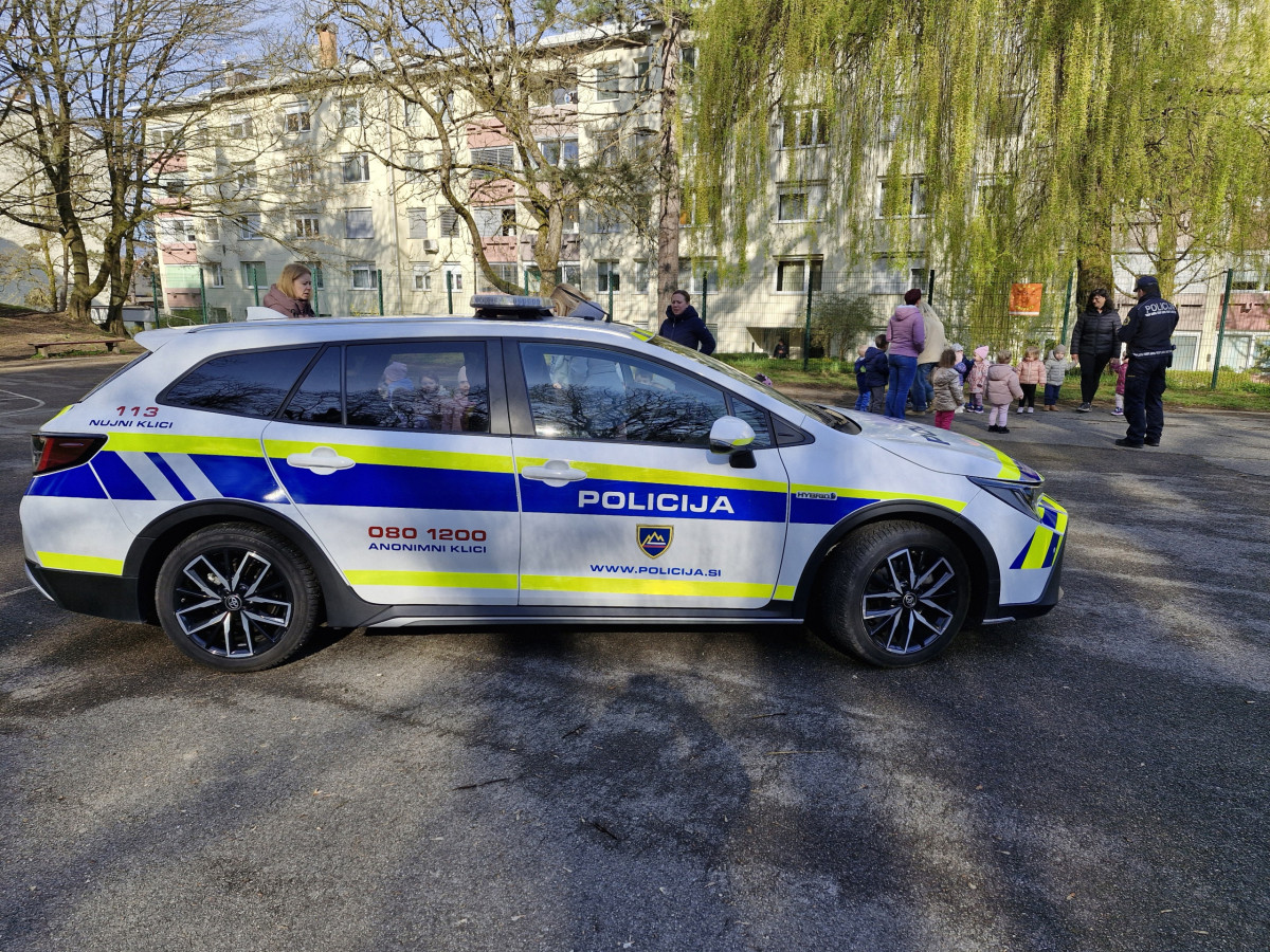 Pomlad pri medvedkovih