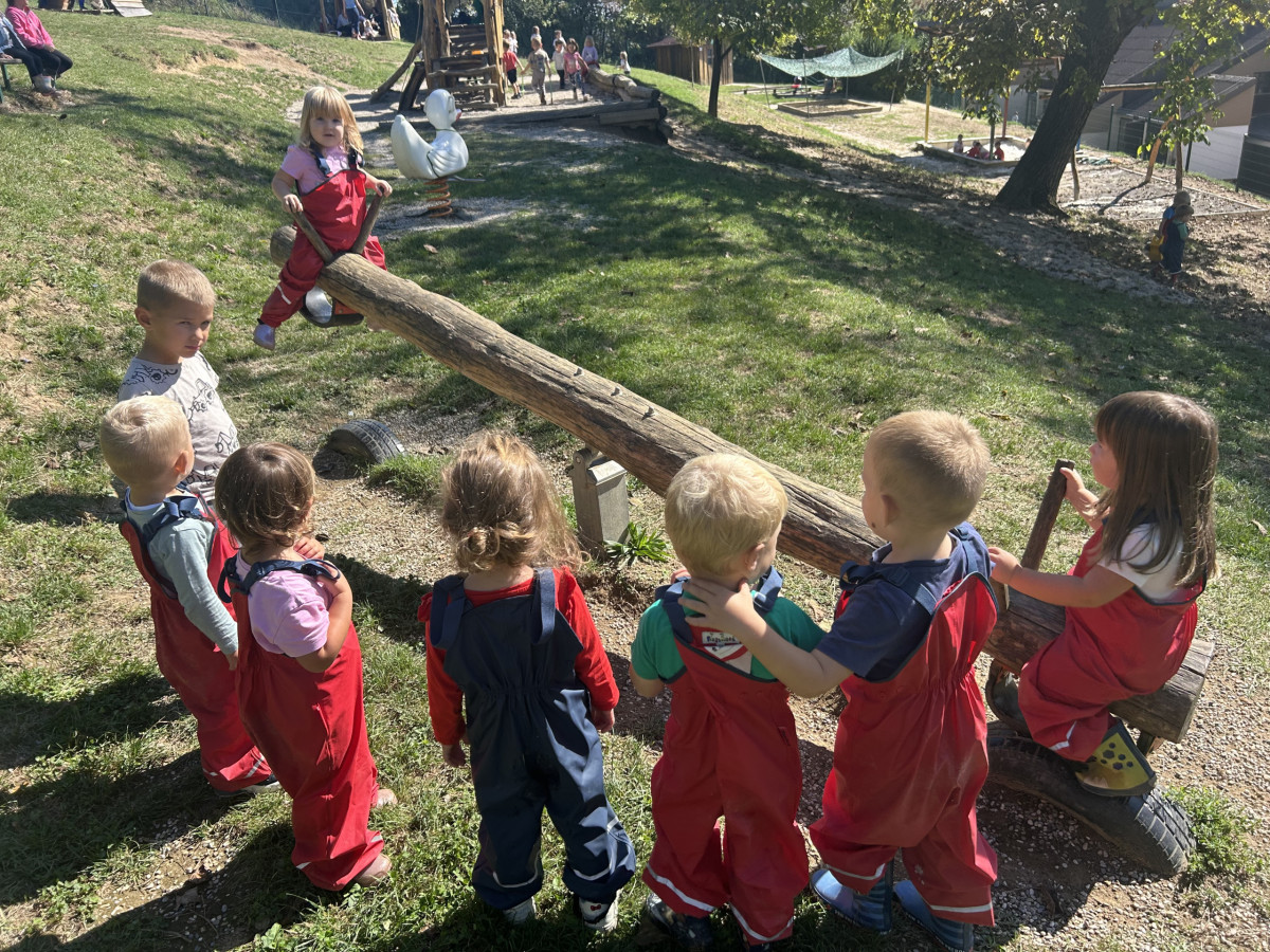 Lisičke navihano raziskujejo